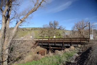 DSC_1081 (Large).JPG